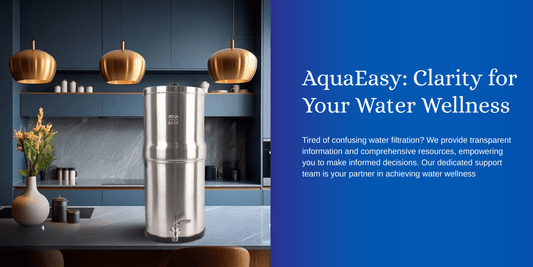 How to Choose the Right Water Filter for Your Home: A Complete Guide
