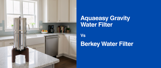 Aquaeasy Water Filter vs Berkey Water Filter