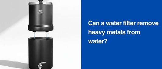 Can a water filter remove heavy metals from water?