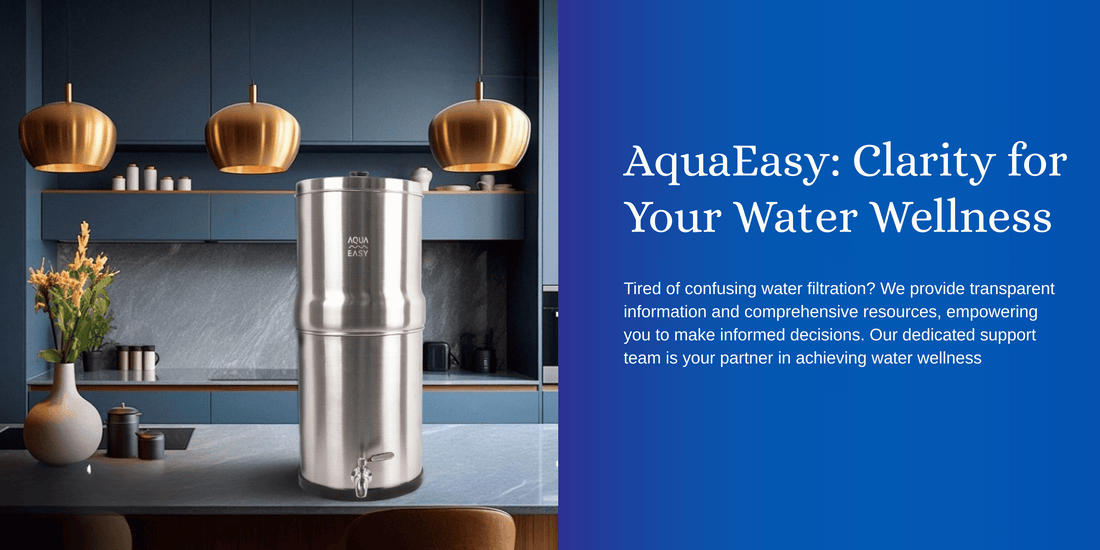 How to Choose the Right Water Filter for Your Home: A Complete Guide