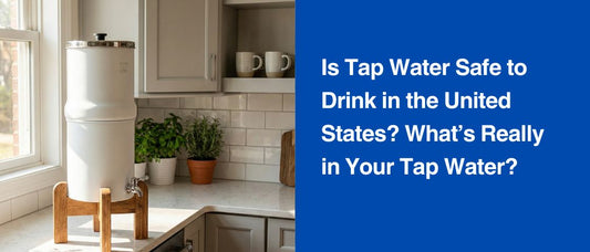 Is Tap Water Safe to Drink in the United States? What’s Really in Your Tap Water?