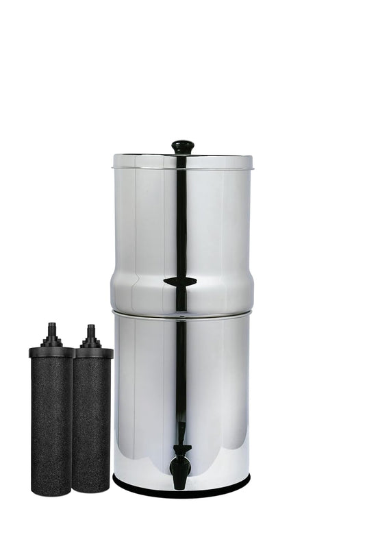 AquaEasy Stainless Steel Gravity Water Filter System (Lite)