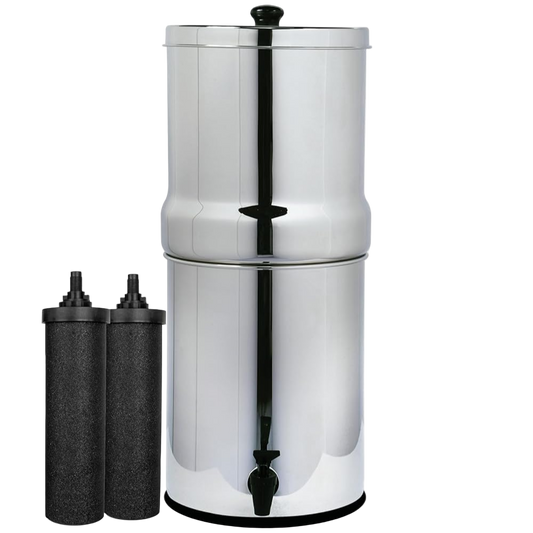 AquaEasy Stainless Steel Gravity Water Filter System (Lite)