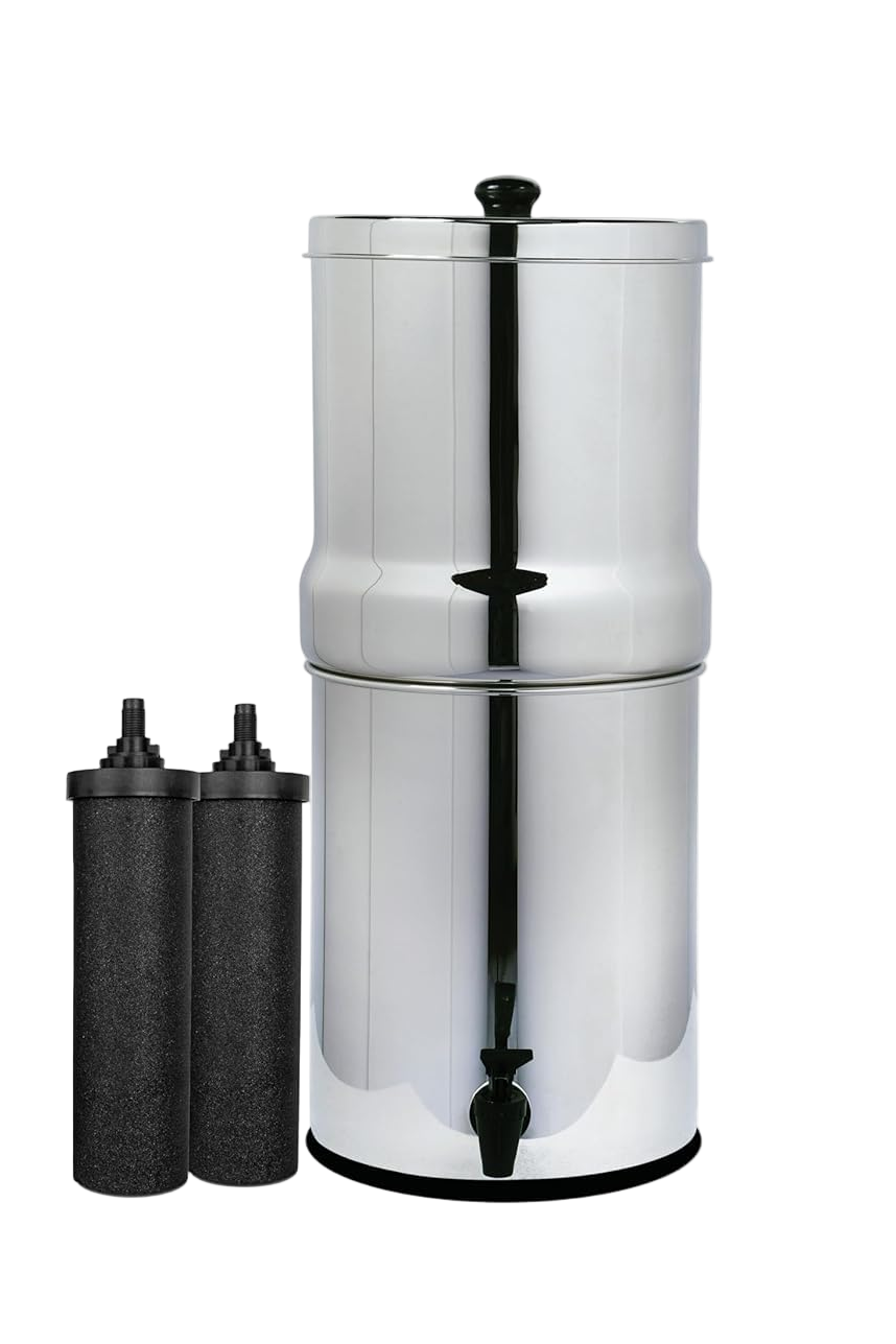 Stainless steel water filter with two carbon candles