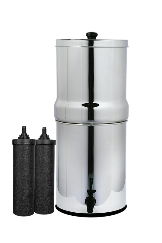 Stainless steel water filter with two carbon candles